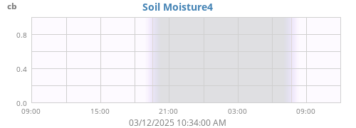 daymoistsoil